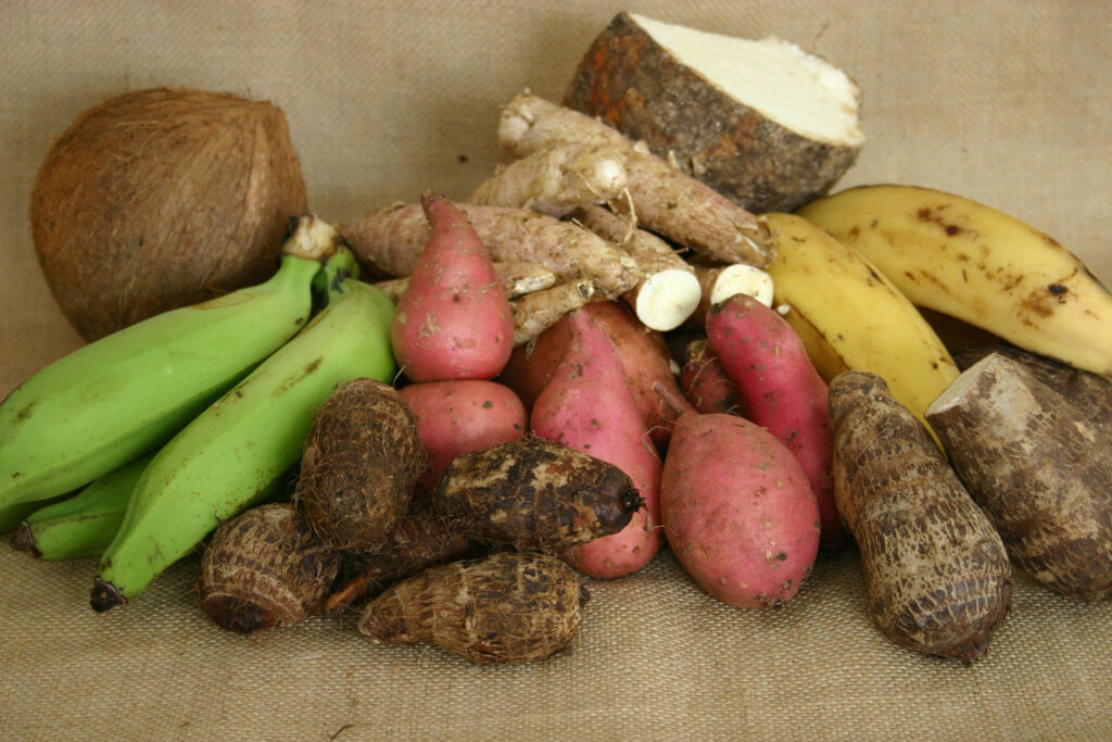 Root vegetables like cassava and sweet potatoes are also central to the Caribbean pantry