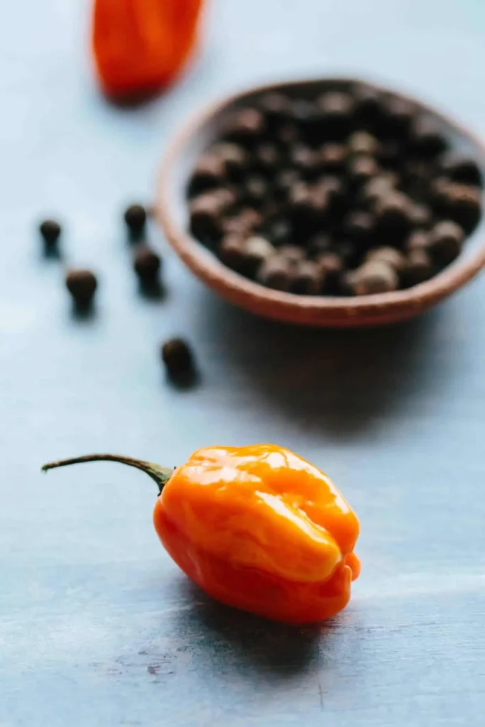Allspice and Scotch bonnet peppers