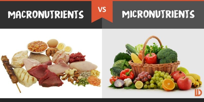 Understanding Macronutrients and Micronutrients of Arroz con Gandules