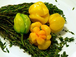 Spices and Herbs Are the Secret Ingredients in Caribbean Cooking