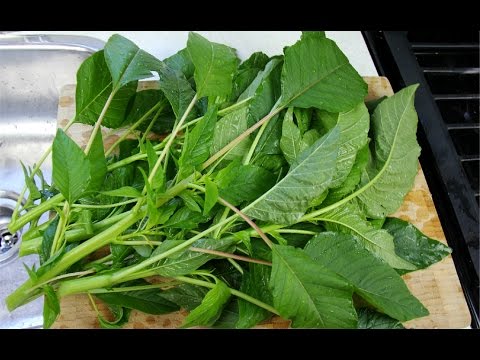 Callaloo leaves