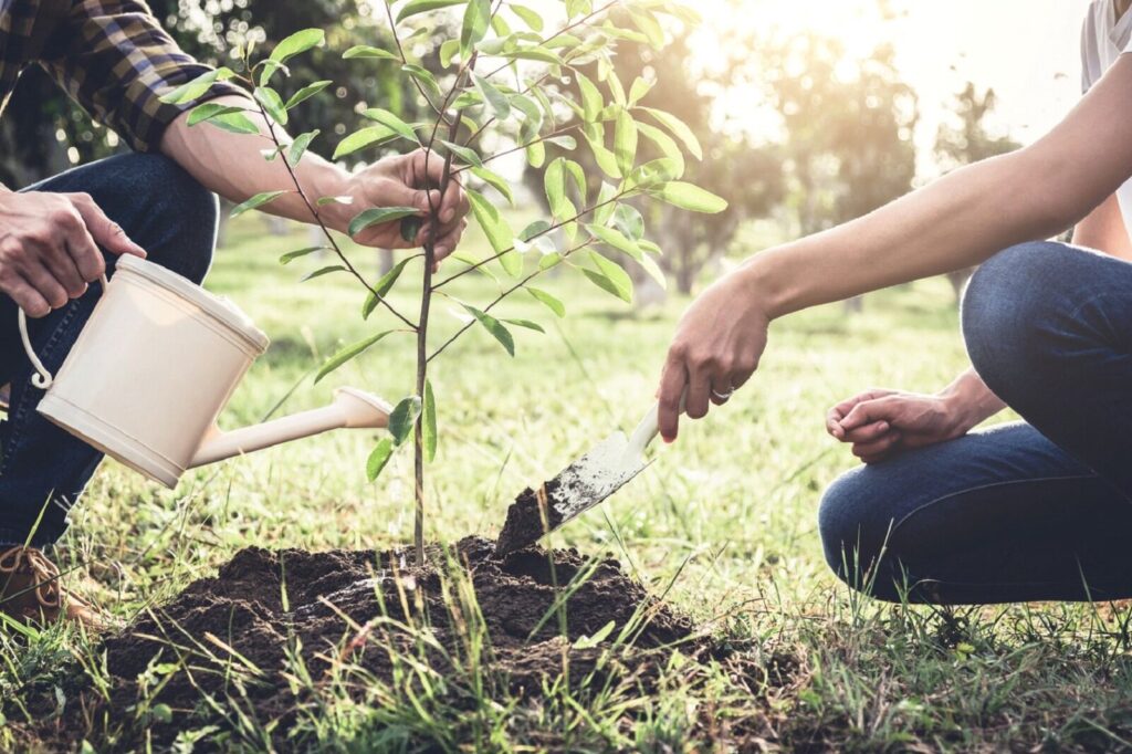 Being Kind to Animals and planting tree