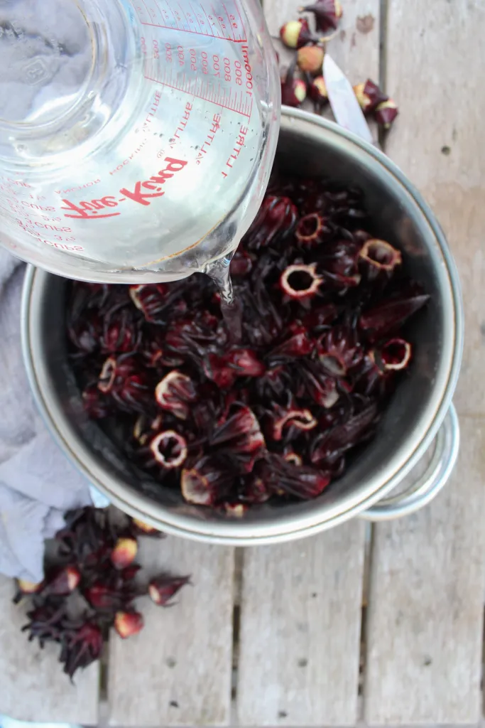 Cleaning the Sorrel  in a bowl