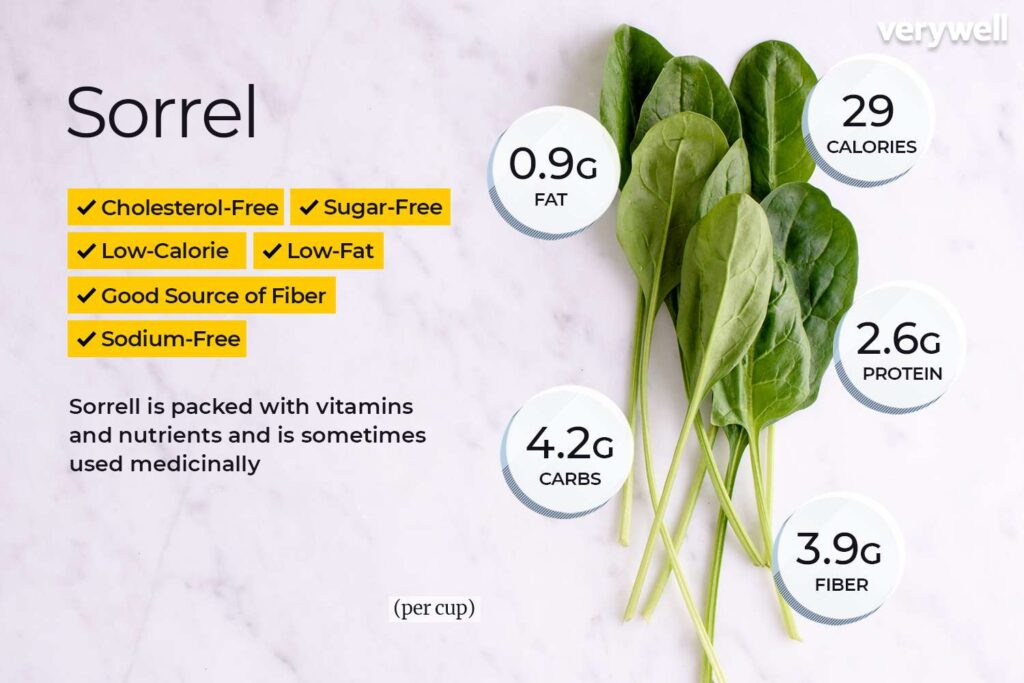 The Health Advantages of Sorrel
