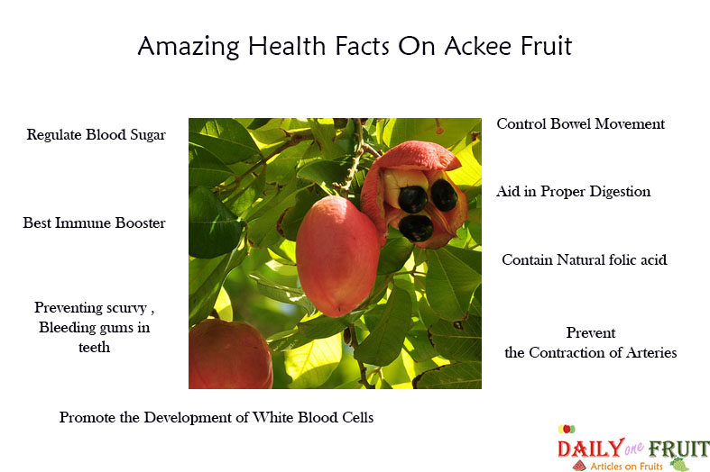 Health Benefits of Ackee 