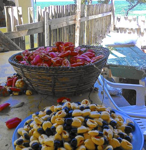 Fresh and Canned Ackee in Local Markets