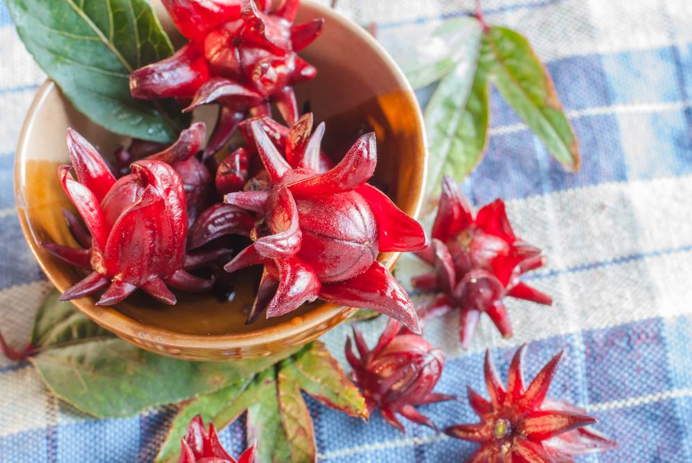 Fresh Sorrel Petals