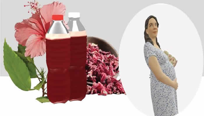 Sorrel drink for Pregnant Women