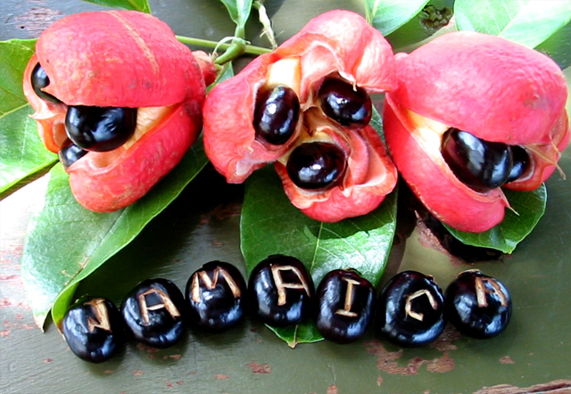 Understanding Ackee: The National Fruit of Jamaica