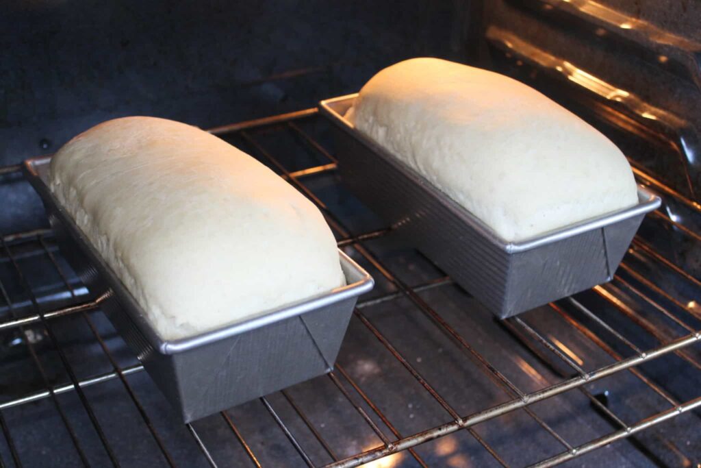 Baking Your Loaf: Ackee loaf