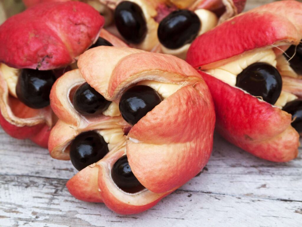 The Delicious World of Ackee