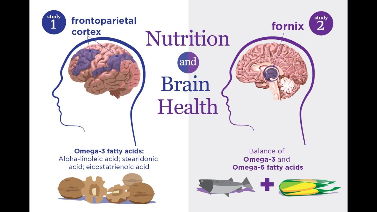 Saltfish’s Protein and Omega-3s