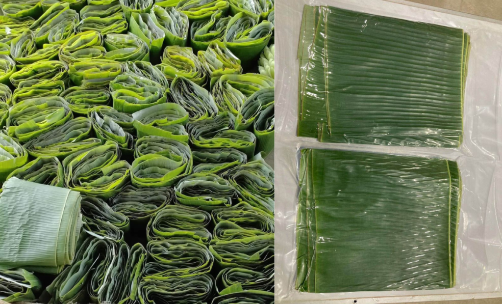 Fresh vs. Frozen Banana Leaves: What’s the Difference?