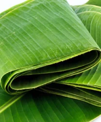 Role of Banana Leaves in Caribbean Cuisine