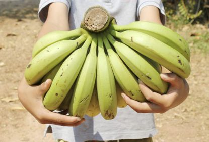 How to Choose the Right Plantain for Cooking