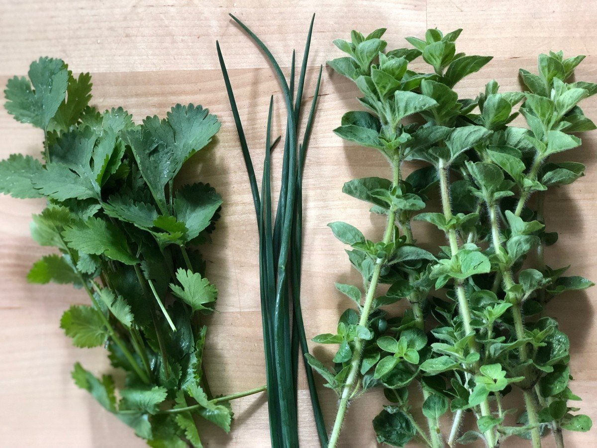 cilantro, oregano, or parsley