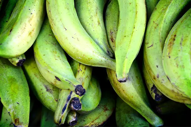 HOW DO YOU PICK PLANTAINS FOR MOFONGO?