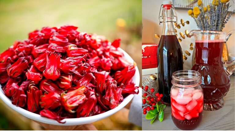 How to make Trinidad Sorrel drink recipe