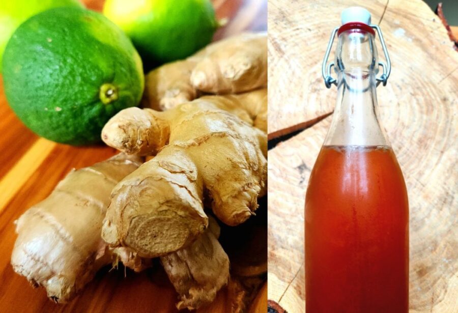 Caribbean fermented ginger beer.