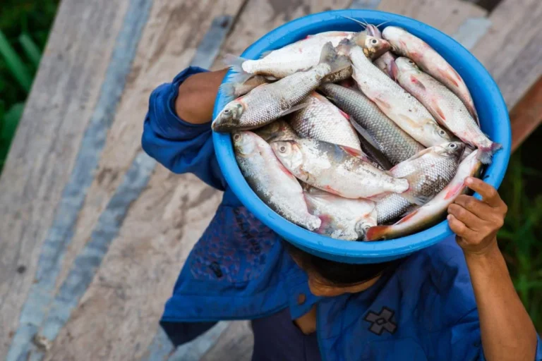 The Economic and Cultural Benefits of Sustainable Seafood