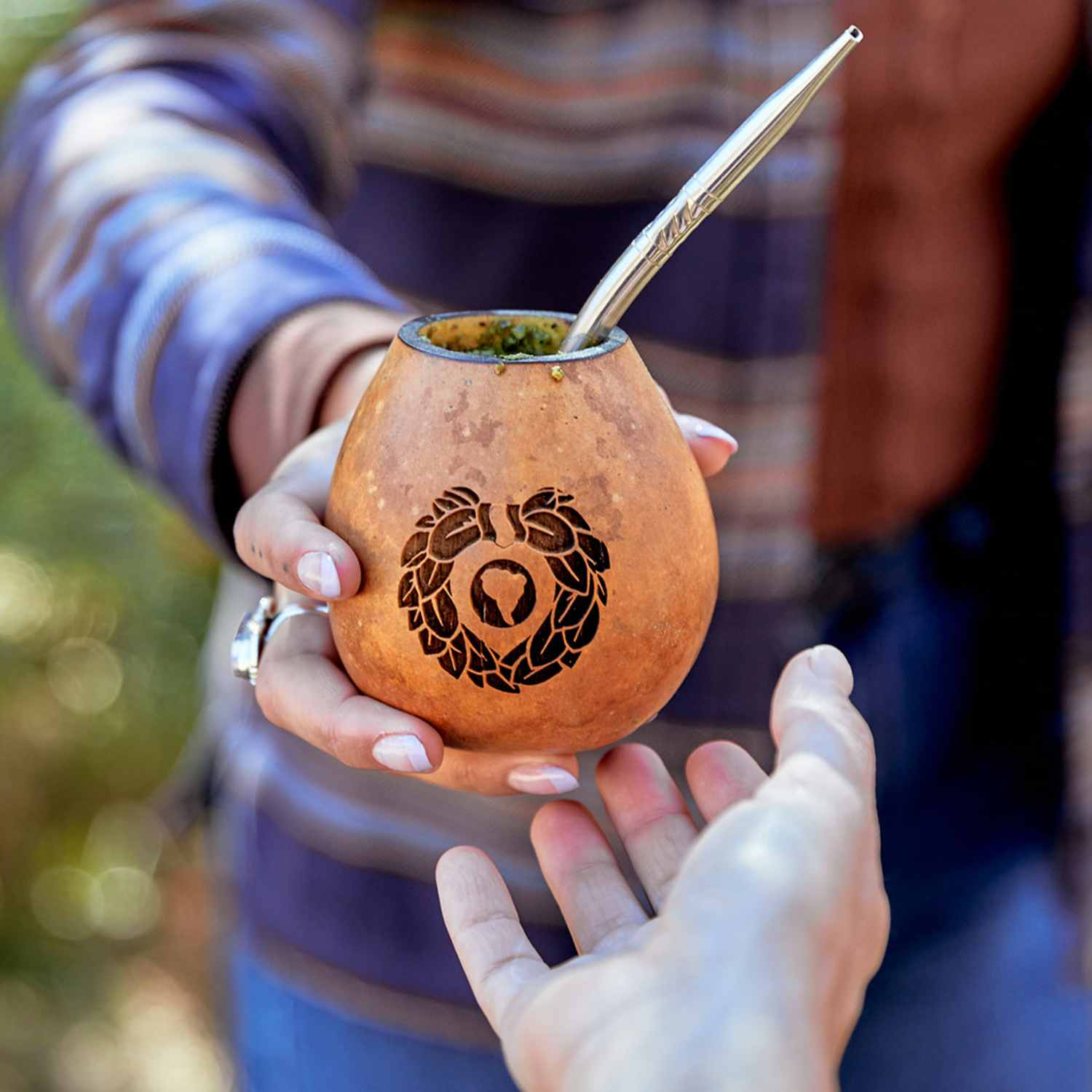 Argentina Yerba Mate: The Ritual, Culture, and Meaning Behind the Drink